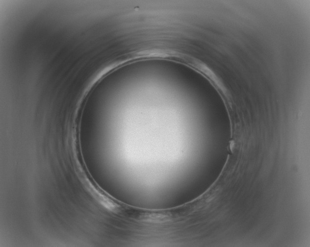 X0000082931187200702081533