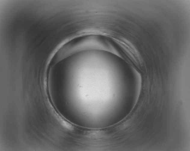 X0000082931188200702081533