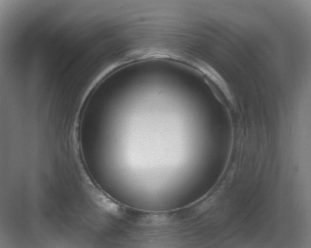 X0000082931190200702081533