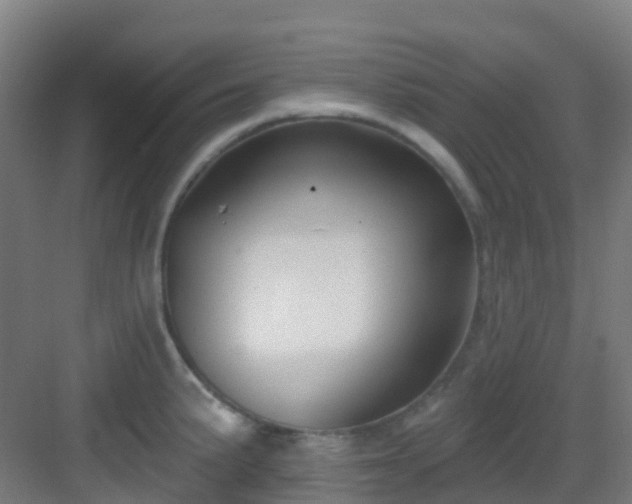 X0000082931191200702081533