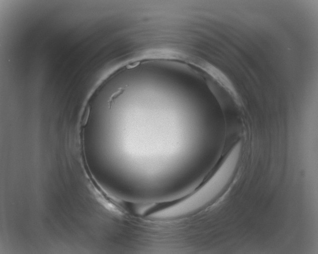 X0000082931192200702081533