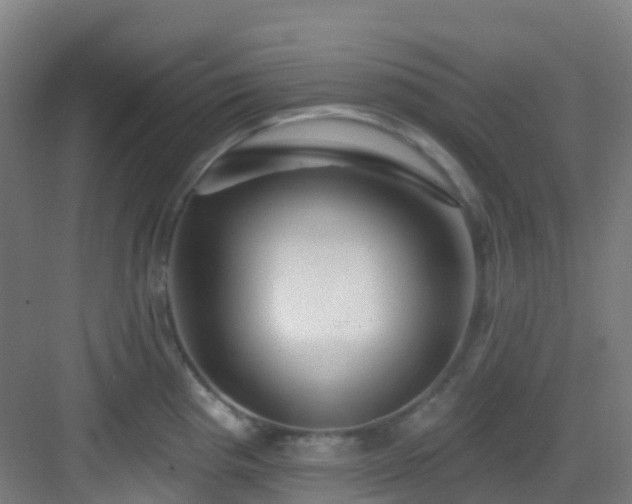 X0000082931193200702081532