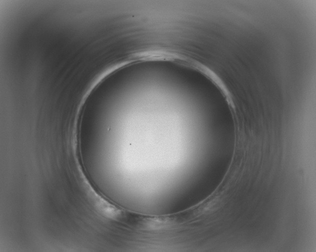 X0000082931195200702081532