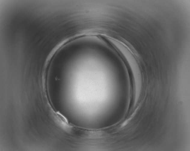 X0000082931196200702081532