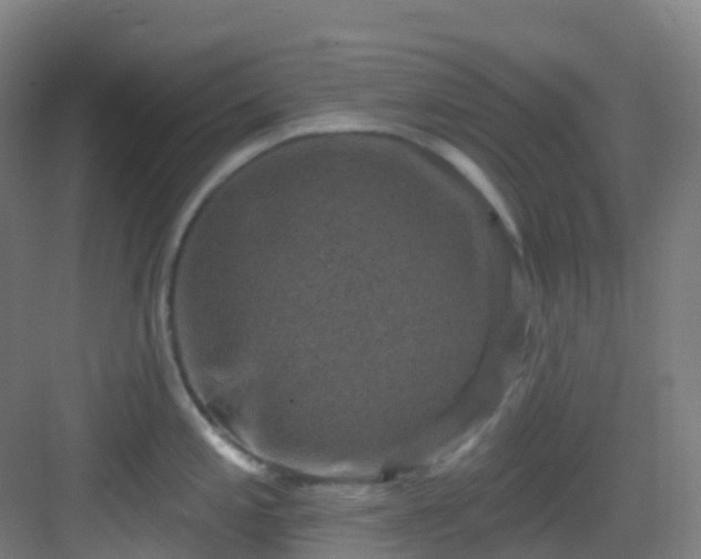 X0000082931197200702081532