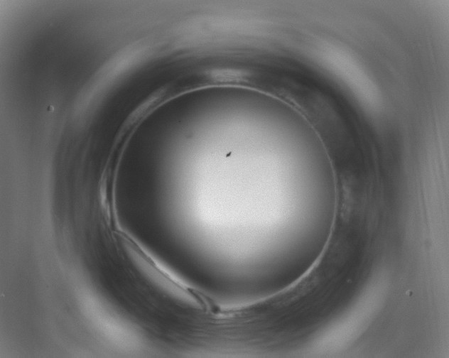 X0000082931198200702081532