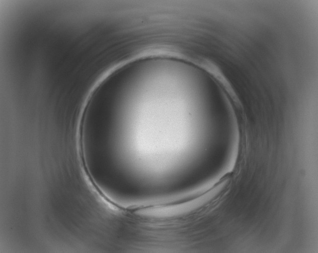 X0000082931199200702081532