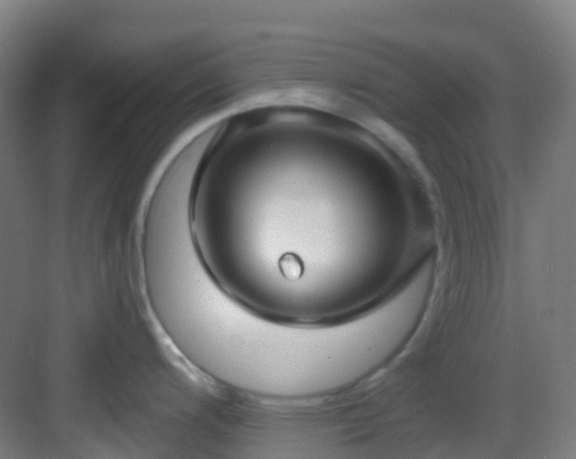 X0000082931200200702081532