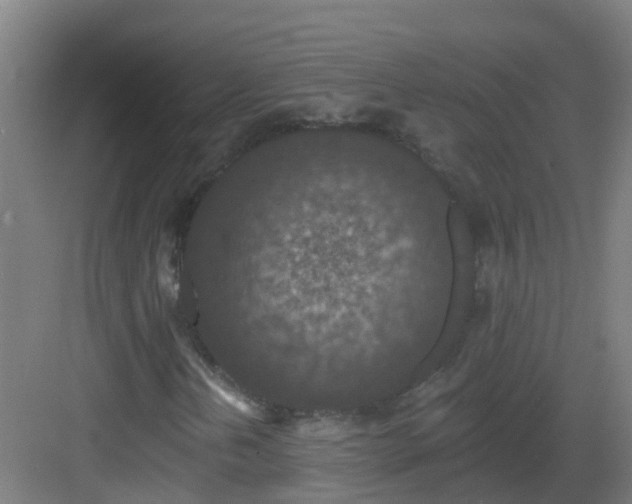 X0000082931202200702081531