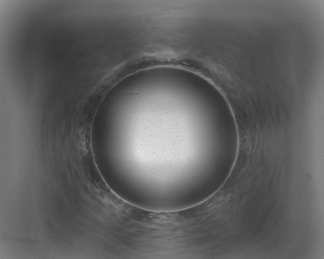 X0000082931205200702081532