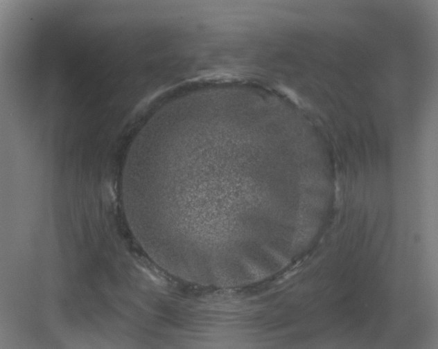 X0000082931206200702081532