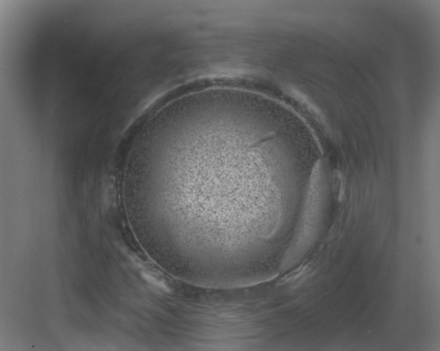 X0000082931208200702081532