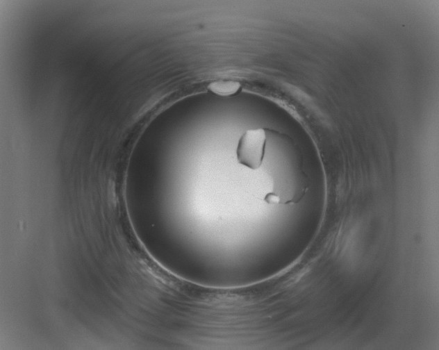 X0000082931209200702081532