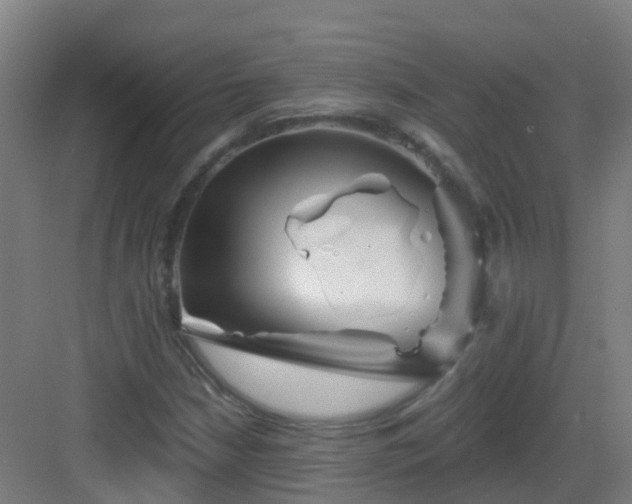 X0000082931210200702081532