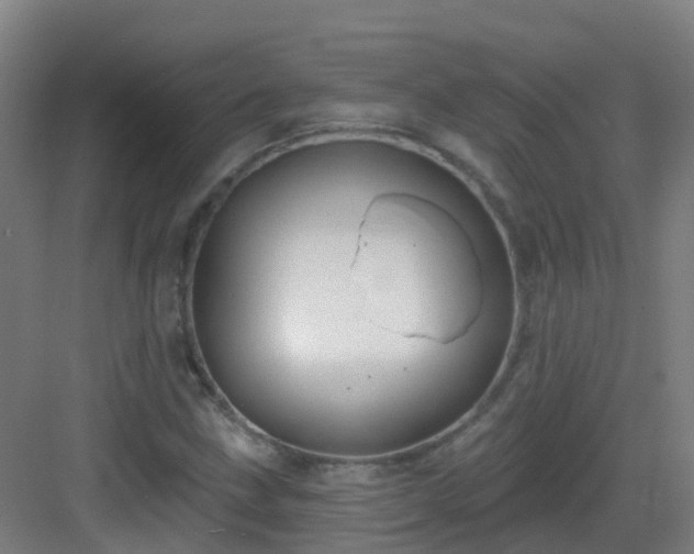 X0000082931211200702081532