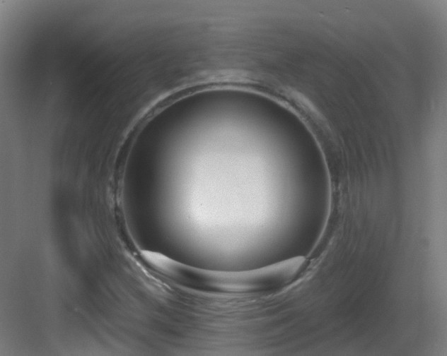 X0000082931212200702081532