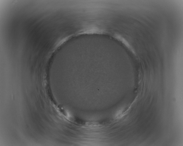 X0000082931213200702081532