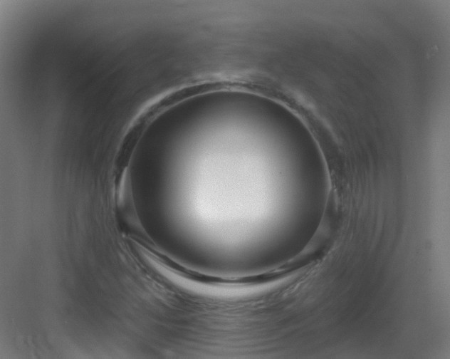 X0000082931214200702081532