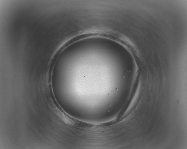 X0000082931216200702081532