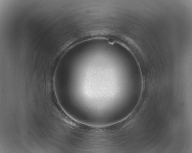 X0000082931217200702081532