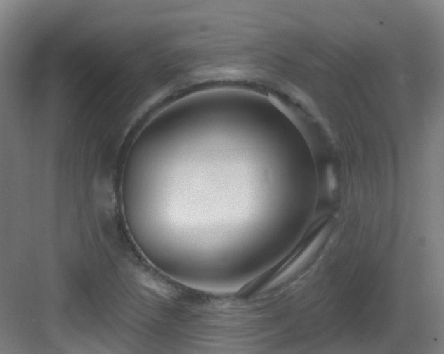 X0000082931218200702081532