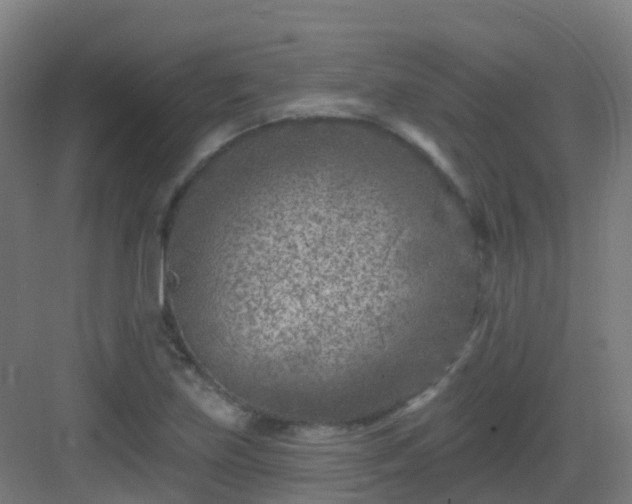 X0000082931219200702081532