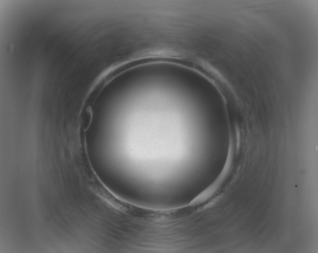 X0000082931222200702081532