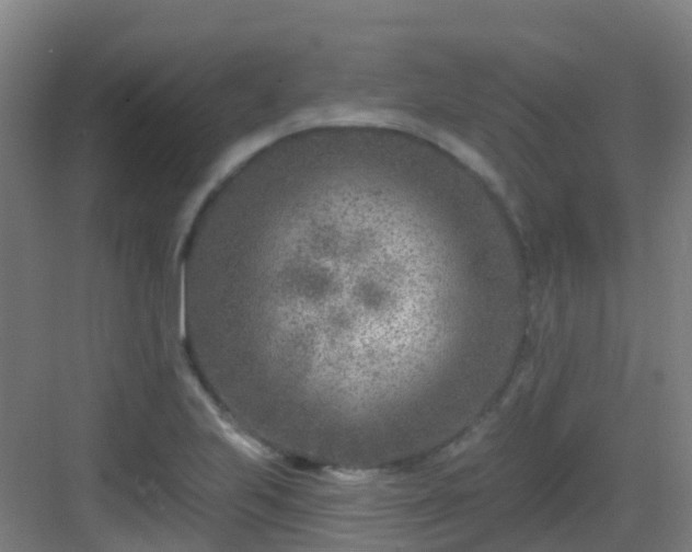 X0000082931223200702081532