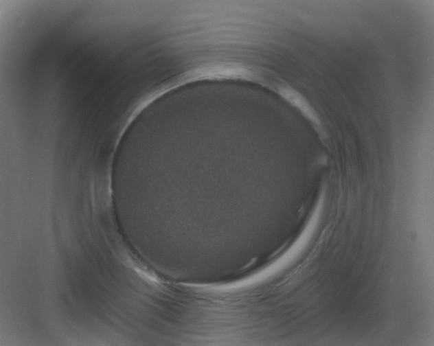 X0000082931226200702081532