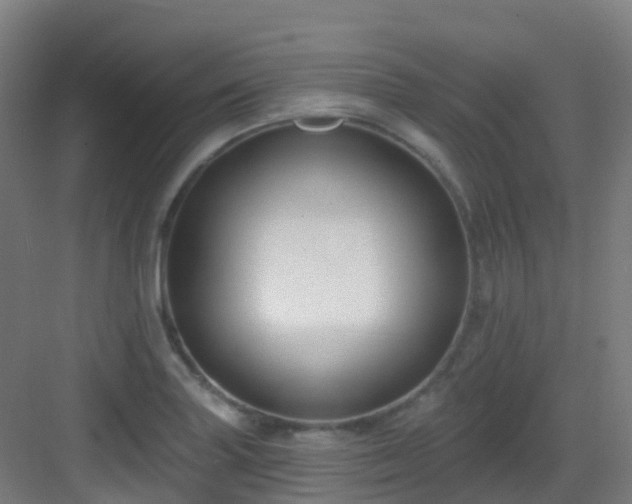 X0000082931227200702081532