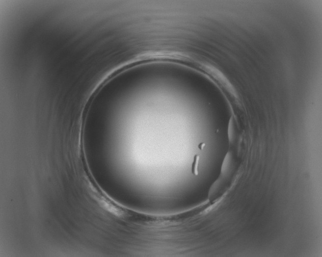 X0000082931228200702081532