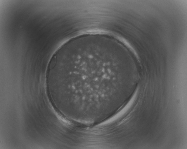 X0000082931229200702081532