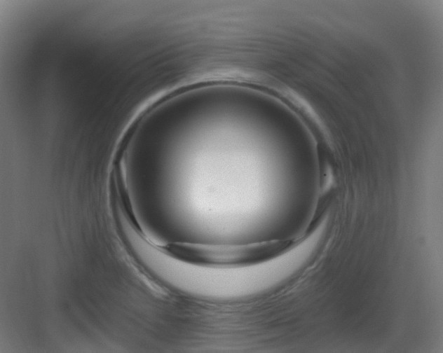 X0000082931230200702081532