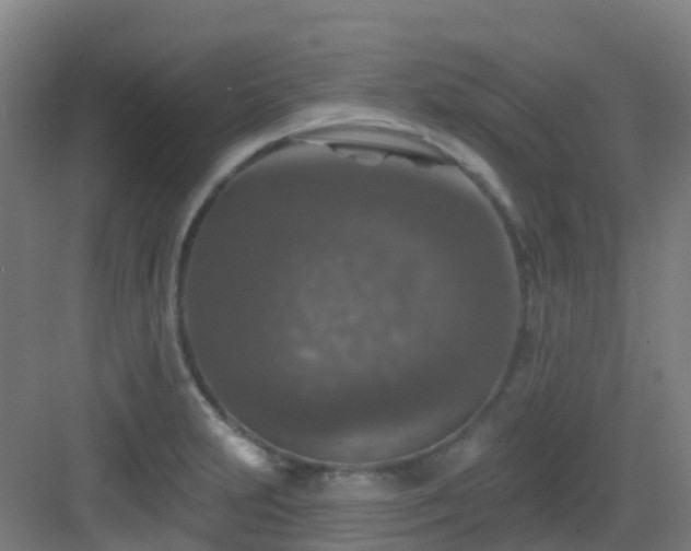 X0000082931231200702081532