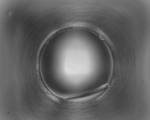 X0000082931232200702081532