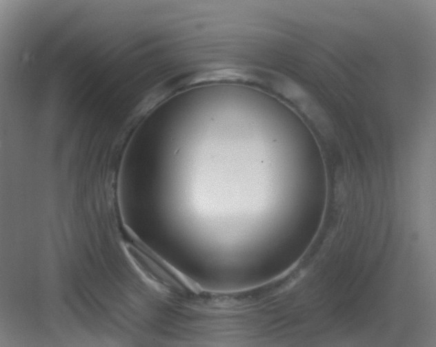 X0000082931233200702081532