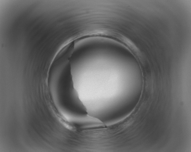 X0000082931234200702081532