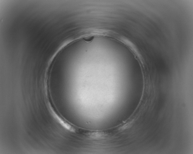 X0000082931235200702081532