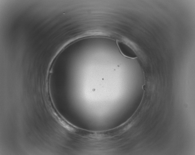 X0000082931236200702081532