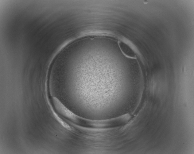 X0000082931237200702081532