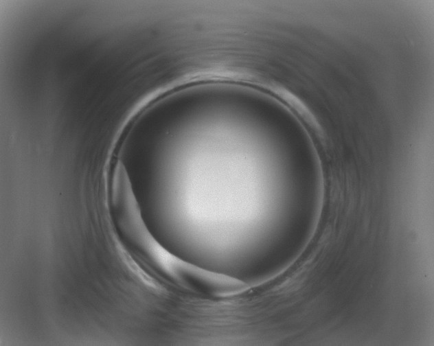 X0000082931238200702081532