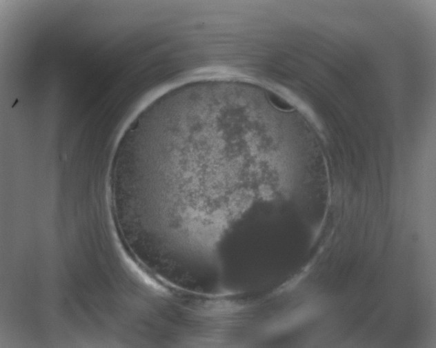 X0000082931239200702081532