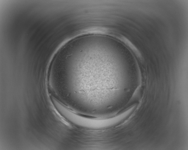 X0000082931240200702081532