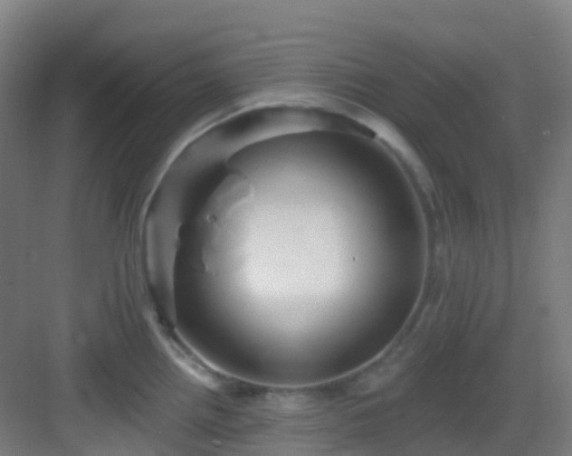 X0000082931242200702081532