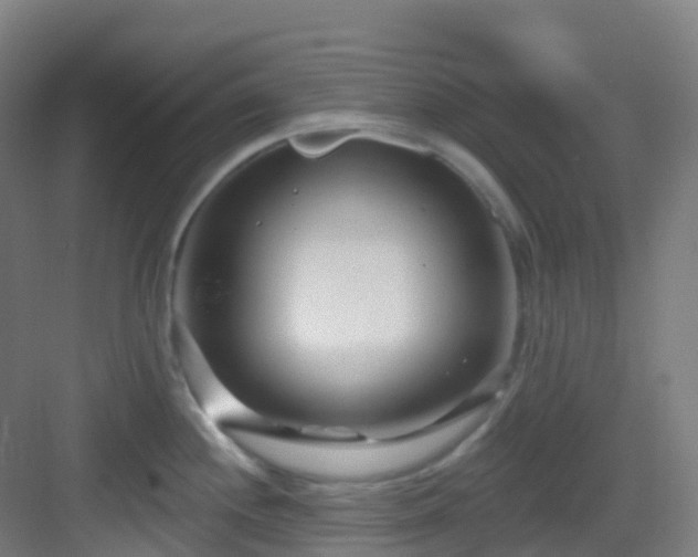 X0000082931244200702081532