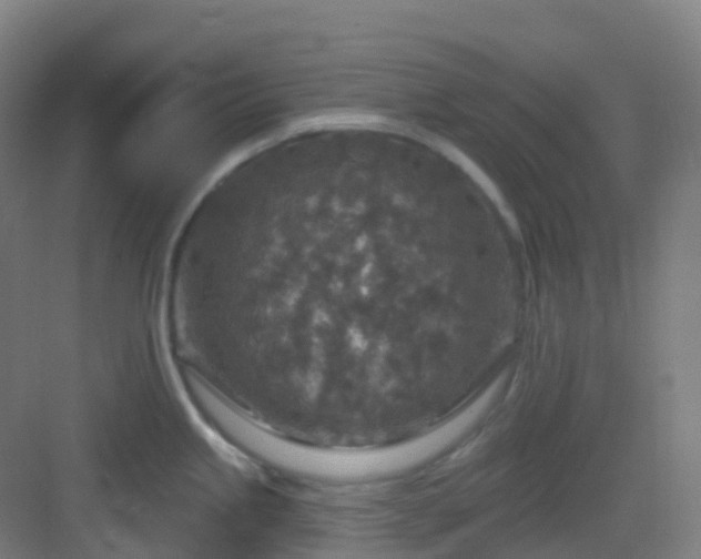 X0000082931245200702081532