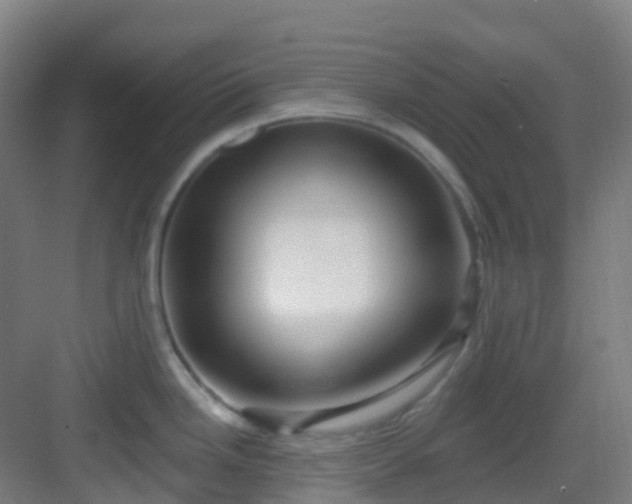 X0000082931246200702081532