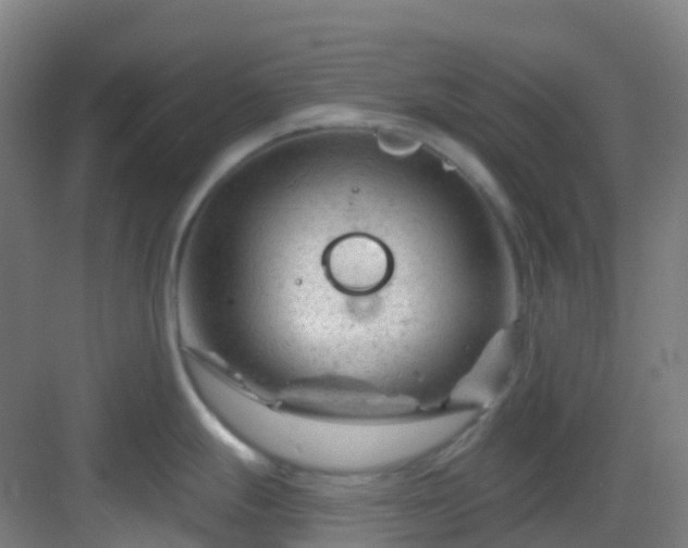 X0000082931247200702081532