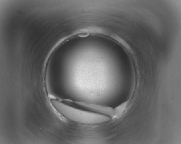 X0000082931248200702081532