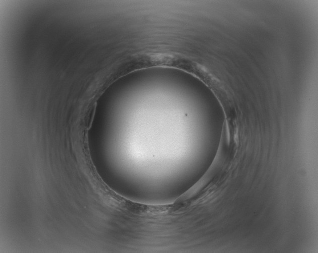 X0000082931249200702081531